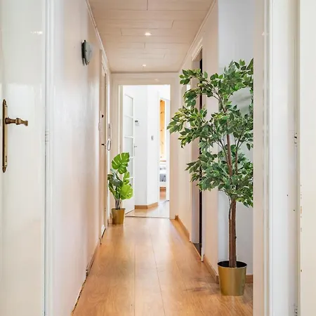Apartment Large Center *